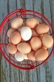 История успеха: социальный контракт дал развитие "птичьему" бизнесу в Междуреченском округе