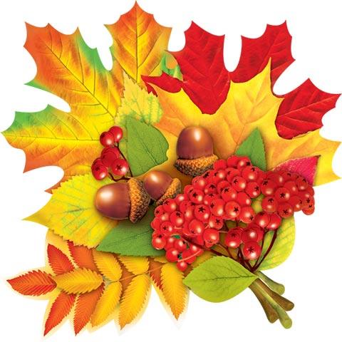 "Зарядка для мозга 50+"