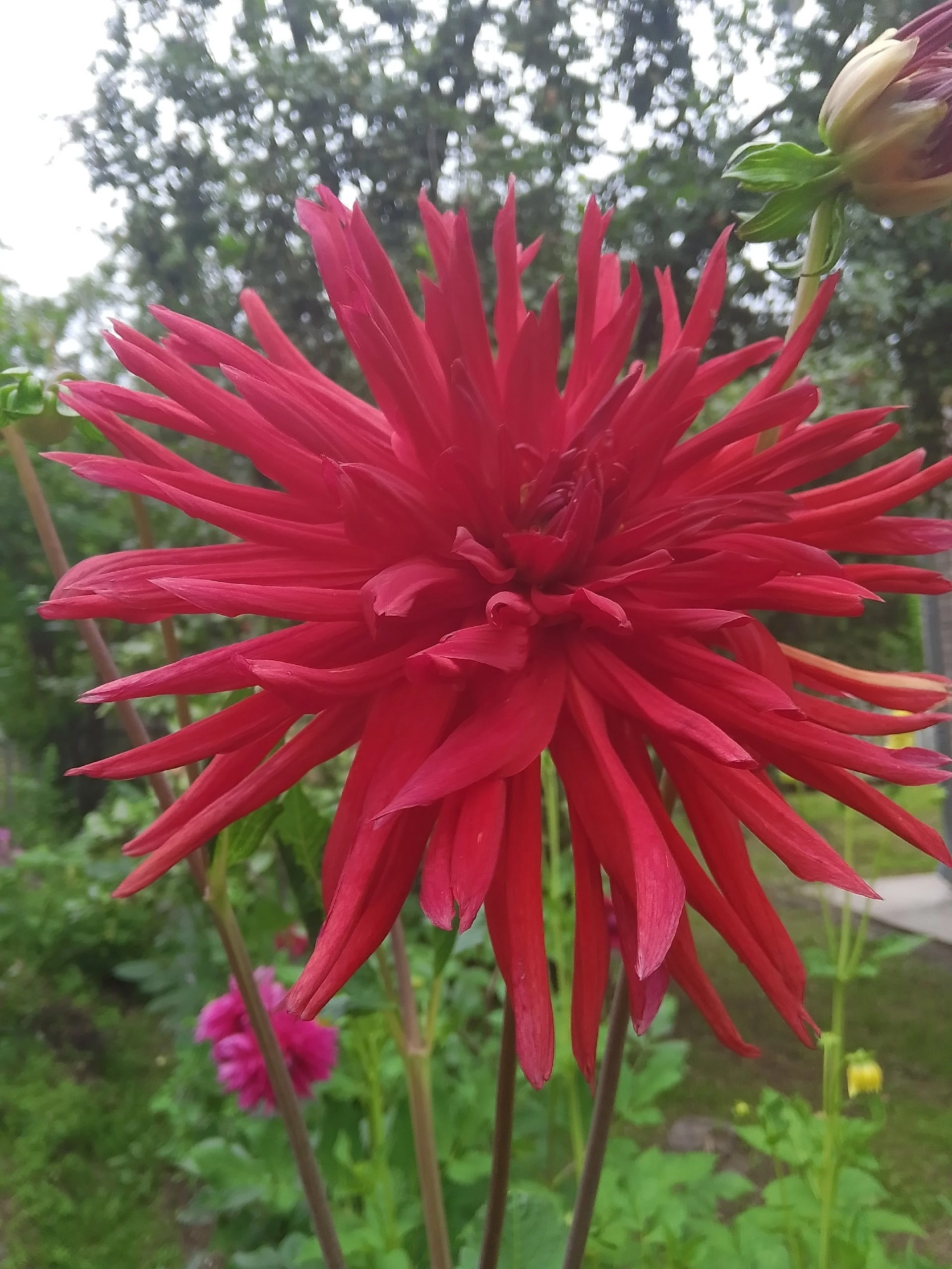 "Уютный дворик"